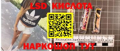амф Камышлов