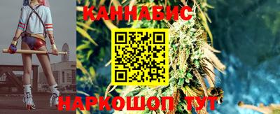 прущие грибы Кандалакша