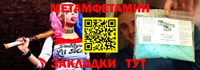 прущие грибы Кандалакша