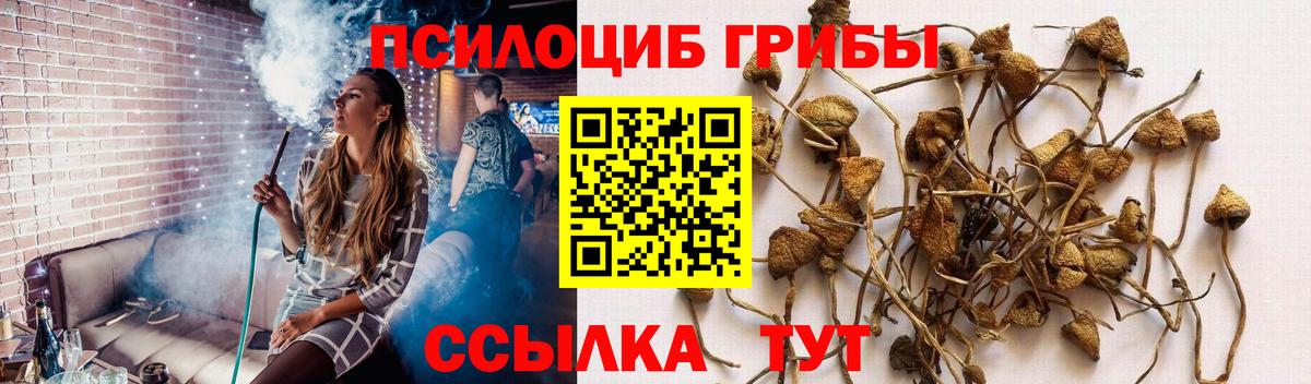 Казань  Псилоцибиновые грибы мухоморы  Галлюциногенные грибы MAGIC MUSHROOMS  Вход с VPN 